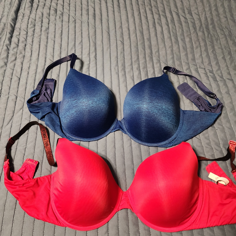 Elegant Blue and Red Women's Bra Set